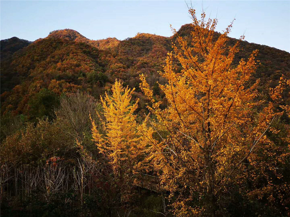 2018纳新赏秋记 —— 龙潭坝村